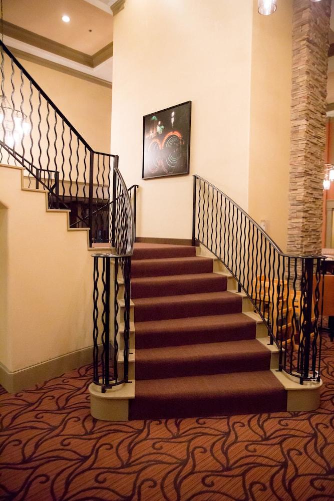 Homewood Suites By Hilton Houston-Woodlands-Shenandoah The Woodlands Eksteriør billede