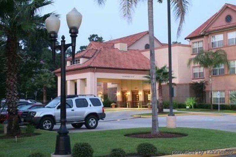 Homewood Suites By Hilton Houston-Woodlands-Shenandoah The Woodlands Eksteriør billede